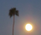 Moon                    Over Sun City.JPG