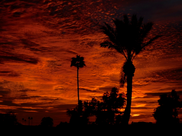 sunset 0201.jpg