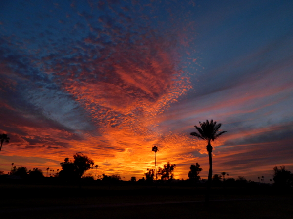 sunset 0203.jpg