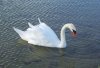 100_1755.jpg
