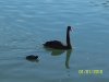 100_1595.jpg
