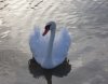 100_1751.JPG