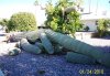 Giant cactus damage Jan. 2010 - 2.jpg