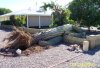 Giant Saraho Cactus damage - Jan. 2010.jpg