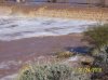 flood waters Jan. 2010 - 2.jpg
