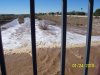 flood waters Jan. 2010 - 3.jpg