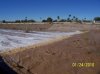 flood waters Jan. 2010 - 4.jpg