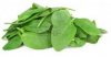 fresh spinach.jpg