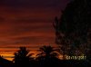 Sunset Sun City.jpg