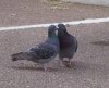 100_2341.jpg