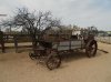 Sahuaro Park.jpg
