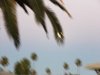 moon1.jpg