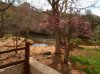 Los Albrigatos, Sedona, Arizona.jpg