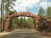 bearizona.jpg