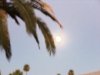 moon3.jpg