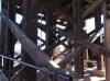 Goldfield 6.jpg