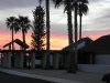 Church of the Palms 3.jpg