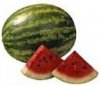 3 watermelon.jpg