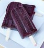 2 blueberry popsicle.jpg