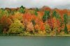 22 autumn.jpg