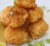 2 french-fried scallops.jpg