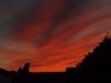 sunset4.jpg
