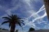 contrails2.jpg