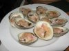 31 clams on the half shell.jpg