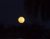 4-14-14 Full Moon.jpg