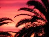 DSCN0639.jpg