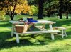 23 picnic.jpg