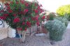 100_3013 - Copy.jpg