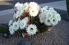 100_3010 - Copy.jpg