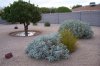 100_3227 - Copy.jpg