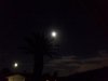 moon4.jpg