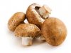 15 mushroom.jpg
