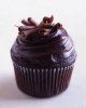 18 chocolate cupcake.jpg