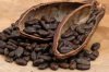 13 cocoa.jpg