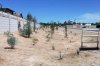 behind houses.jpg
