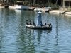 cormorants.jpg